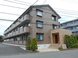 サザンクロスの画像