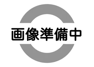 D PAINA 鴨居Ⅱの画像