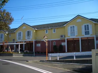 コリーヌ Mの画像