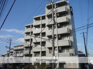 オリーブフォレストの画像