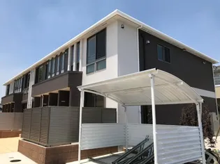 アネシスの画像