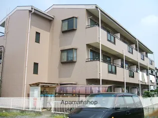 ルミエールの画像