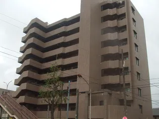 エクセルシオの画像