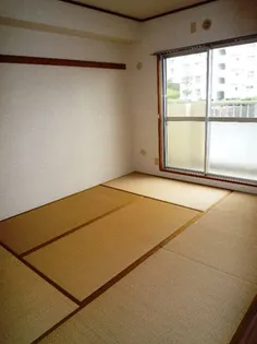 湘南カワマヒルズ【306号室】の居間