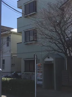 グリーンプゾムの画像