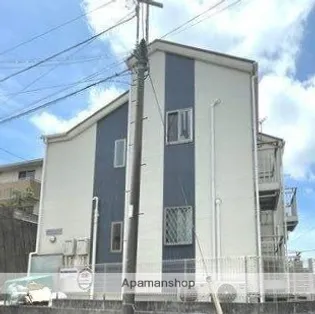 サザン ラキシスの画像