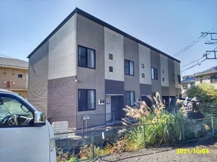 プルメリアの画像