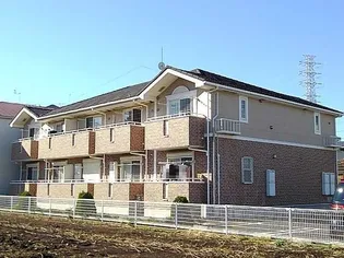 サニー エム エの画像