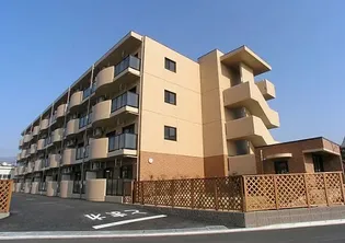 シンフォニアの画像