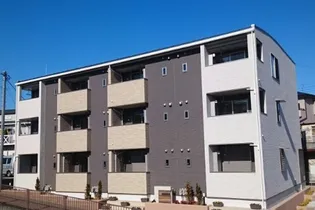 サニー アヴェニューの画像