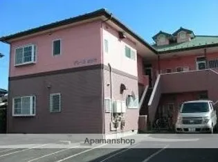 グレースカシワの画像