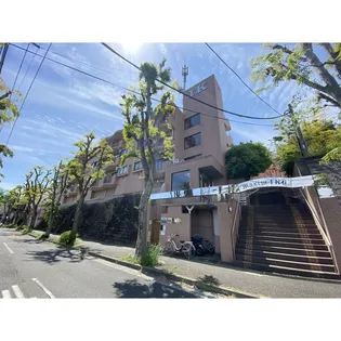 マキシムIK6の画像