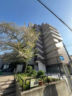 メインステージ横濱真金町【10階】の外観