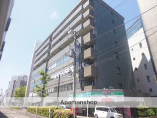 クゲヌマファーストの画像