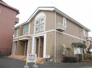 プラシードの画像