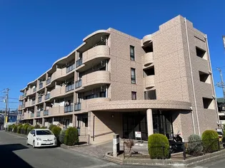 アンソレイエ アオキの画像