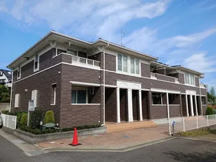 メゾン・シーダー壱番館【1階】の外観