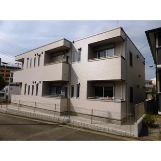 レフィーノの画像