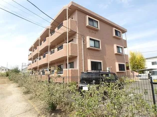 ラフィネの画像