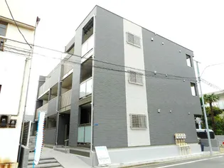 ミランダカンパニュラの画像