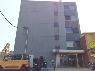 プラシードの画像