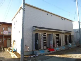 メイ シェノンの画像