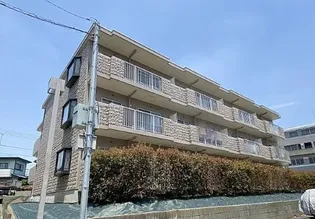 ラビアンローズの画像