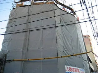 セトルオクサワの画像