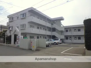 メゾンふじさわ【1階】の外観