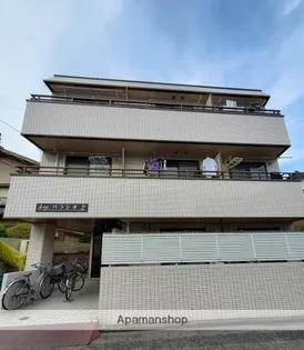 パラシオの画像