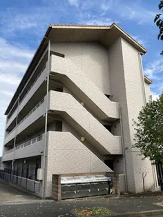 アイリスの画像