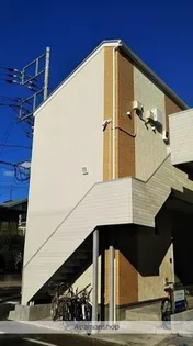 ルピナスの画像