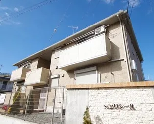 セリシールの画像