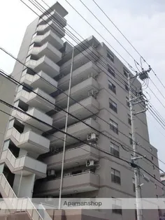 アブニール白妙の画像