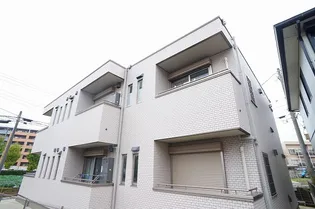 レフィーノの画像