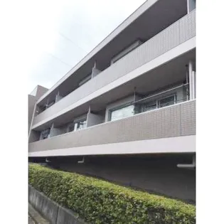 大貫ラガーランドの画像