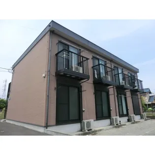 アムール元の画像