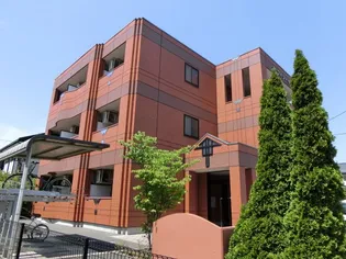 フィジーサイトの画像