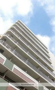 RISING PLACE石川町【5階】の外観