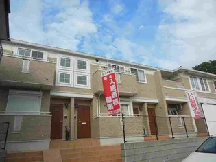 プリムローズの画像