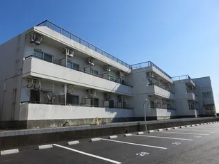 メゾン・ド・ドリーム横浜【2階】の外観