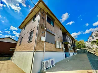 ルミエールの画像