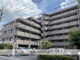 ステラコートの画像