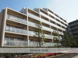 神奈川県横浜市港北区樽町1丁目【マンション】の外観