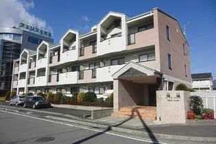 ソレイユ ルヴァンの画像