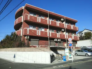 クローバー ガーデンの画像