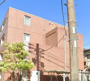 アルボル リオ XIの画像