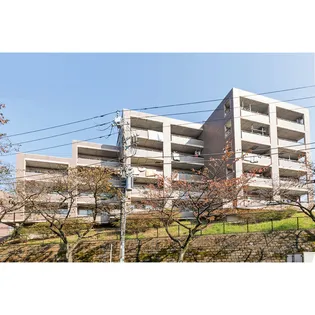 メゾン ルミエールたまプラーザの画像