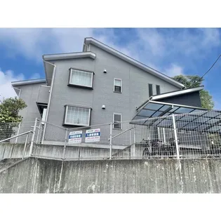 アムールシュシュの画像