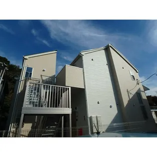 グラッサ花の木の画像